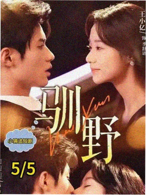 逆光追凶 悬疑短剧在线观看